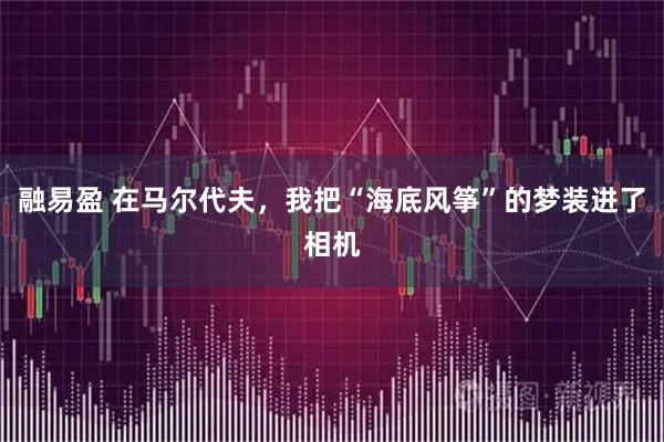 融易盈 在马尔代夫，我把“海底风筝”的梦装进了相机